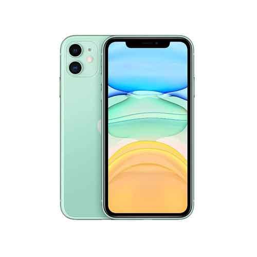 Apple IPHONE 11 256GB MHDV3HNA price in hyderabad